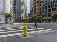 California Urban Light: A View of Skyscrapers