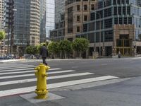 California Urban Light: A View of Skyscrapers