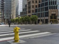 California Urban Light: A View of Skyscrapers