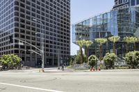 the street has traffic lights and palm trees in the city area by the street corner