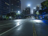 California Urban Metropolis: A Foggy Night Scene