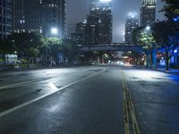 California Urban Metropolis: A Foggy Night Scene