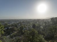 the sun shining over a city in the distance with trees to the right of the street