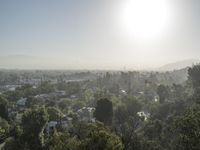 the sun shining over a city in the distance with trees to the right of the street