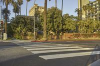 Urban Residential Area in California: Tree-Lined Street