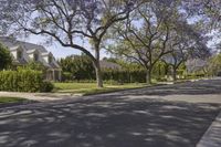 California Urban Road: Asphalt in a Vibrant Neighborhood