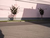 California's Urban Roadway