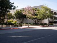 California Urban Roadway: Asphalt Under Clear Skies