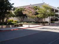 California Urban Roadway: Asphalt Under Clear Skies
