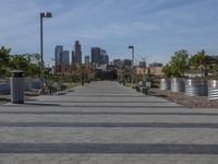 California Urban Landscape: Skyscrapers in the Park