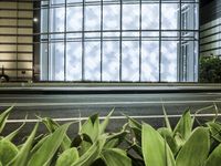 a building has a glass front in a city street, with greenery in front