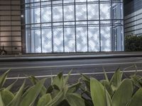 a building has a glass front in a city street, with greenery in front