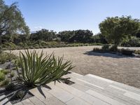 an empty courtyard with a lawn and trees in the background, there is a path leading to a planter bed