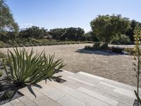 an empty courtyard with a lawn and trees in the background, there is a path leading to a planter bed