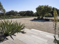 an empty courtyard with a lawn and trees in the background, there is a path leading to a planter bed