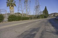 California USA Asphalt Day Trees