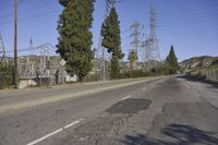 California USA Asphalt Day Trees 002