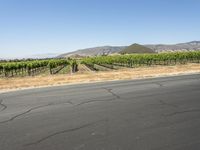 California, USA: Asphalt Road and Beautiful Landscape
