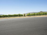 California, USA: Asphalt Road and Beautiful Landscape