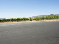 California, USA: Asphalt Road and Beautiful Landscape