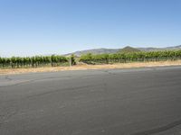 California, USA: Asphalt Road and Beautiful Landscape