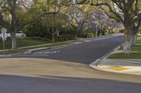 California, USA: Asphalt Road Lined with Trees