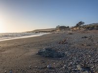 a grassy field by the shore and a cliff with rocks in the ocean in the background