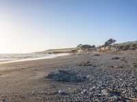 a grassy field by the shore and a cliff with rocks in the ocean in the background