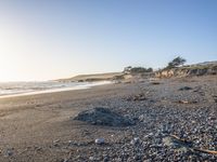 a grassy field by the shore and a cliff with rocks in the ocean in the background