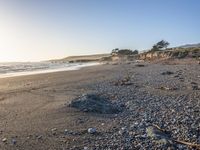 a grassy field by the shore and a cliff with rocks in the ocean in the background