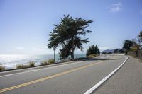 the street leads into to a body of water on the left, next to a tree on a hillside with an ocean view