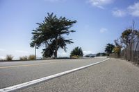 the street leads into to a body of water on the left, next to a tree on a hillside with an ocean view