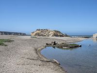 a water hole in the middle of a sandy beach with a rock and some birds on it