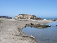 a water hole in the middle of a sandy beach with a rock and some birds on it