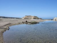 a water hole in the middle of a sandy beach with a rock and some birds on it