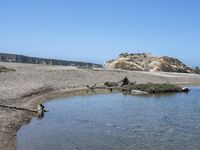 a water hole in the middle of a sandy beach with a rock and some birds on it