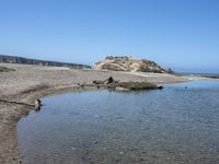 a water hole in the middle of a sandy beach with a rock and some birds on it