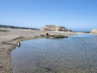 a water hole in the middle of a sandy beach with a rock and some birds on it