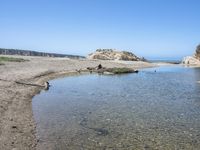 a water hole in the middle of a sandy beach with a rock and some birds on it