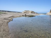 a water hole in the middle of a sandy beach with a rock and some birds on it