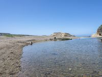 a water hole in the middle of a sandy beach with a rock and some birds on it