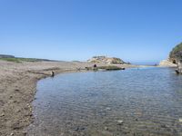 a water hole in the middle of a sandy beach with a rock and some birds on it