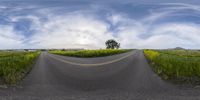 an image of a curve road with the road side turned to a right and there is grass in the middle of it