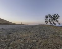 a lone tree stands on a barren hilltop, overlooking the vast valley beyond the distant hills