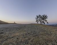 a lone tree stands on a barren hilltop, overlooking the vast valley beyond the distant hills