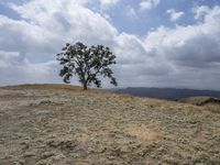 California, USA: Desert Landscape with Scattered Grass