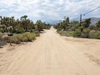 California USA Desert Road in Yucca Valley