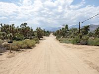 California USA Desert Road in Yucca Valley 002