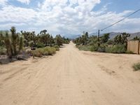 California USA: Desert Road in Yucca Valley 003