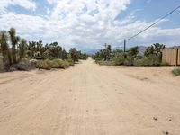 California USA Desert Road in Yucca Valley 004